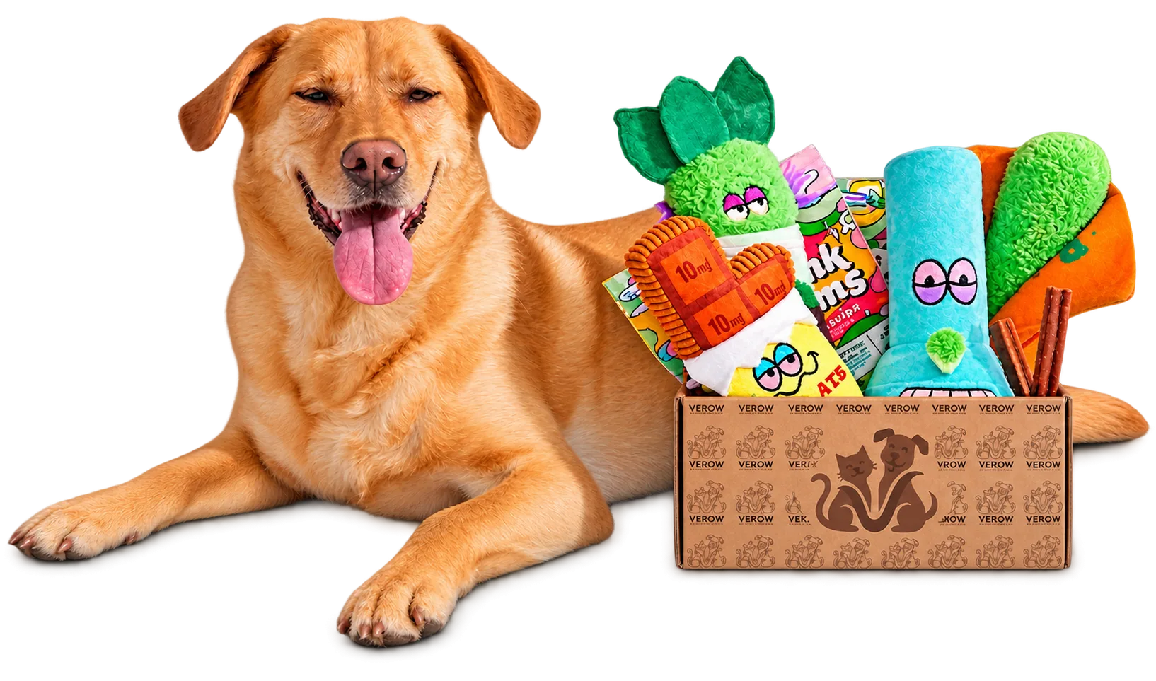 Dog enjoying organic pet food