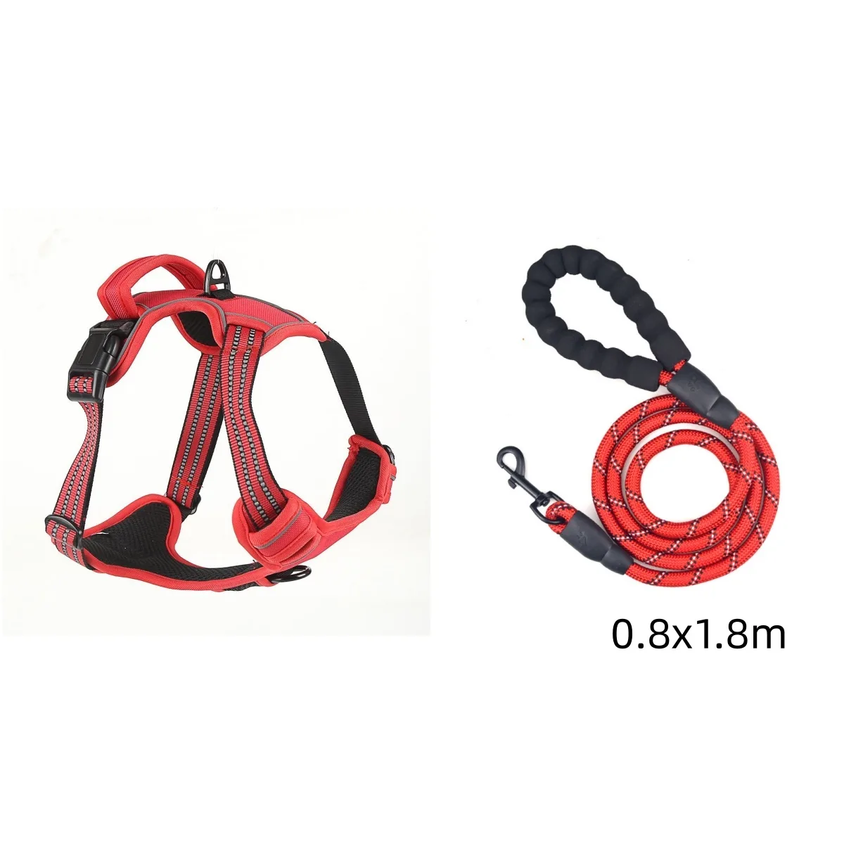 1f603527-fd39-4ced-8742-9536bcda80da.jpg