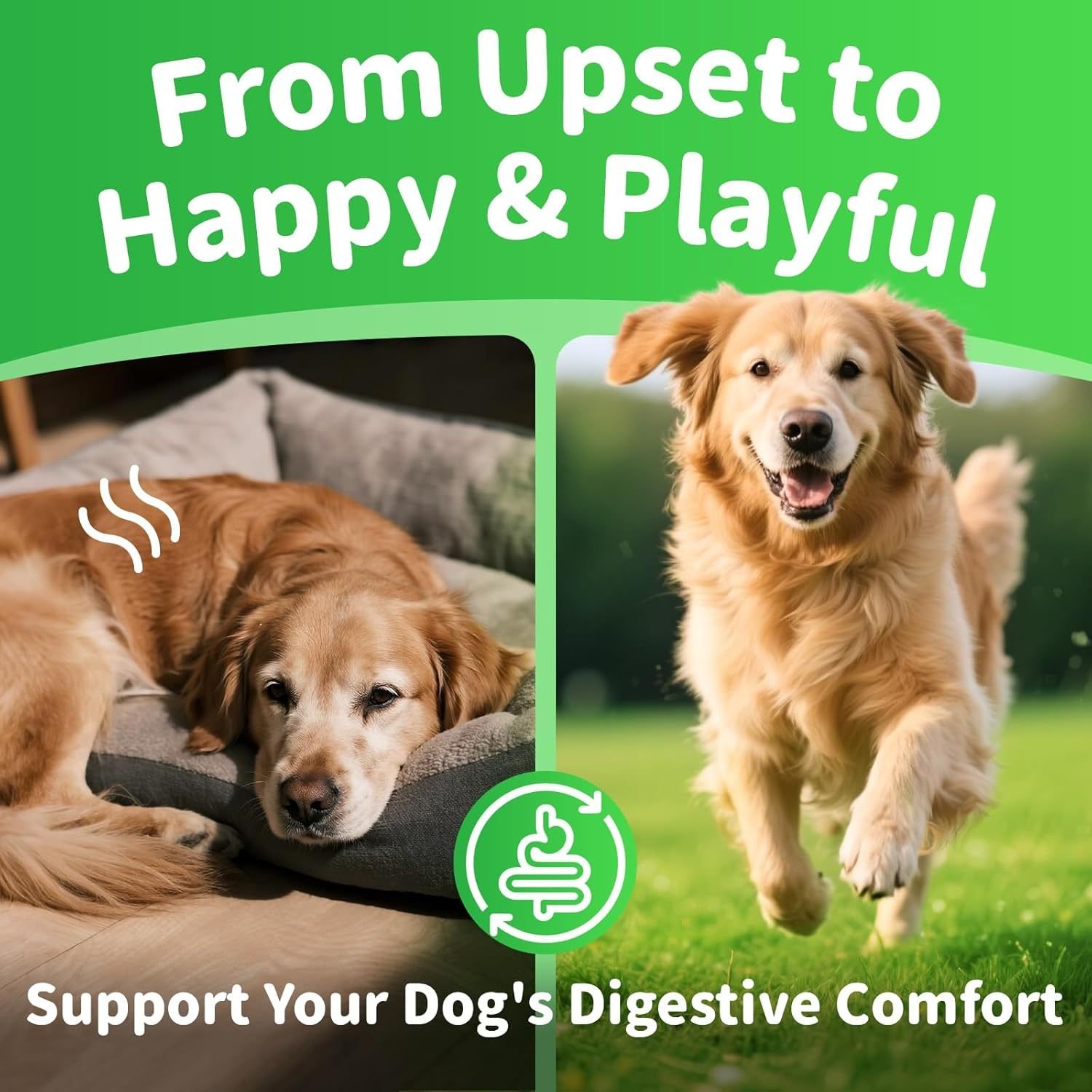 Probiotic Digestive Chews for Dogs - Stop Scooting, Gas & Diarrhea | 90 Chicken Chews - Image 7