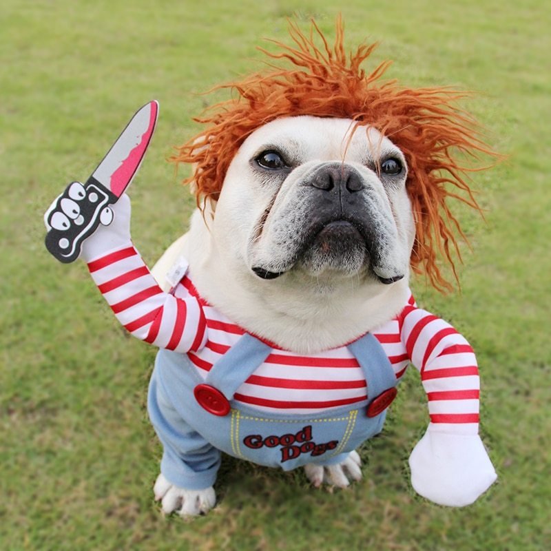 Halloween Dog Costume - Funny Horse Riding Pet Outfit for Small Medium Dogs - Image 2