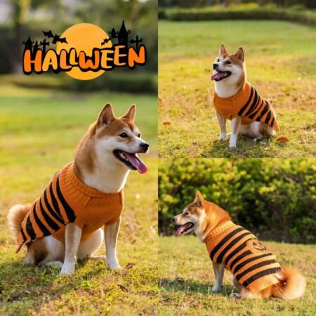 Cozy Teddy Halloween Dog Sweater - Warm Pet Costume for Small Dogs