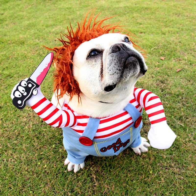 Halloween Dog Costume - Funny Horse Riding Pet Outfit for Small Medium Dogs - Image 10