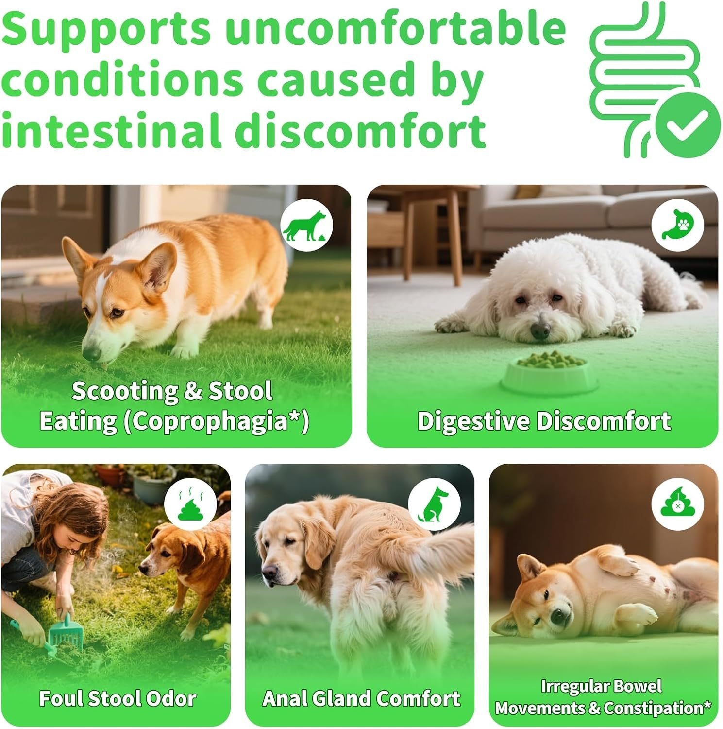 Probiotic Digestive Chews for Dogs - Stop Scooting, Gas & Diarrhea | 90 Chicken Chews - Image 5