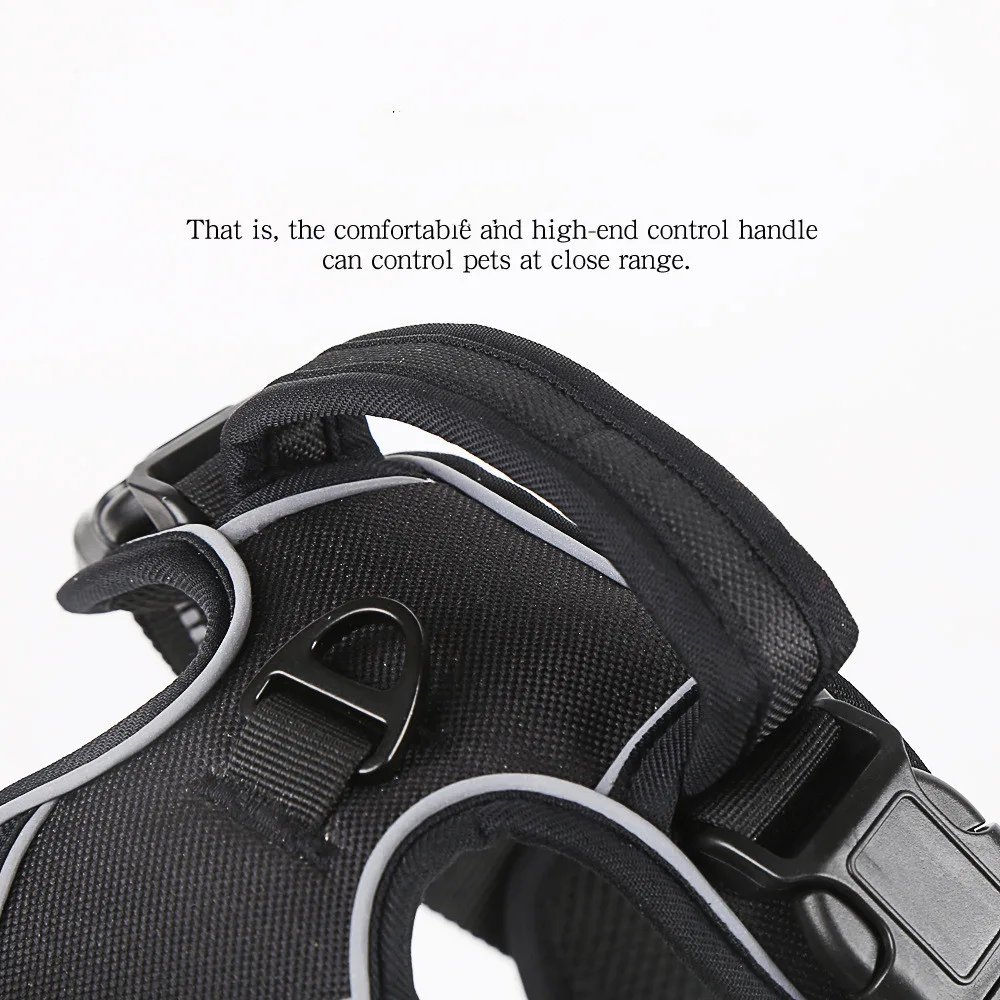 cb668dec-3df3-4496-ba21-24ea8fda25a4.jpg