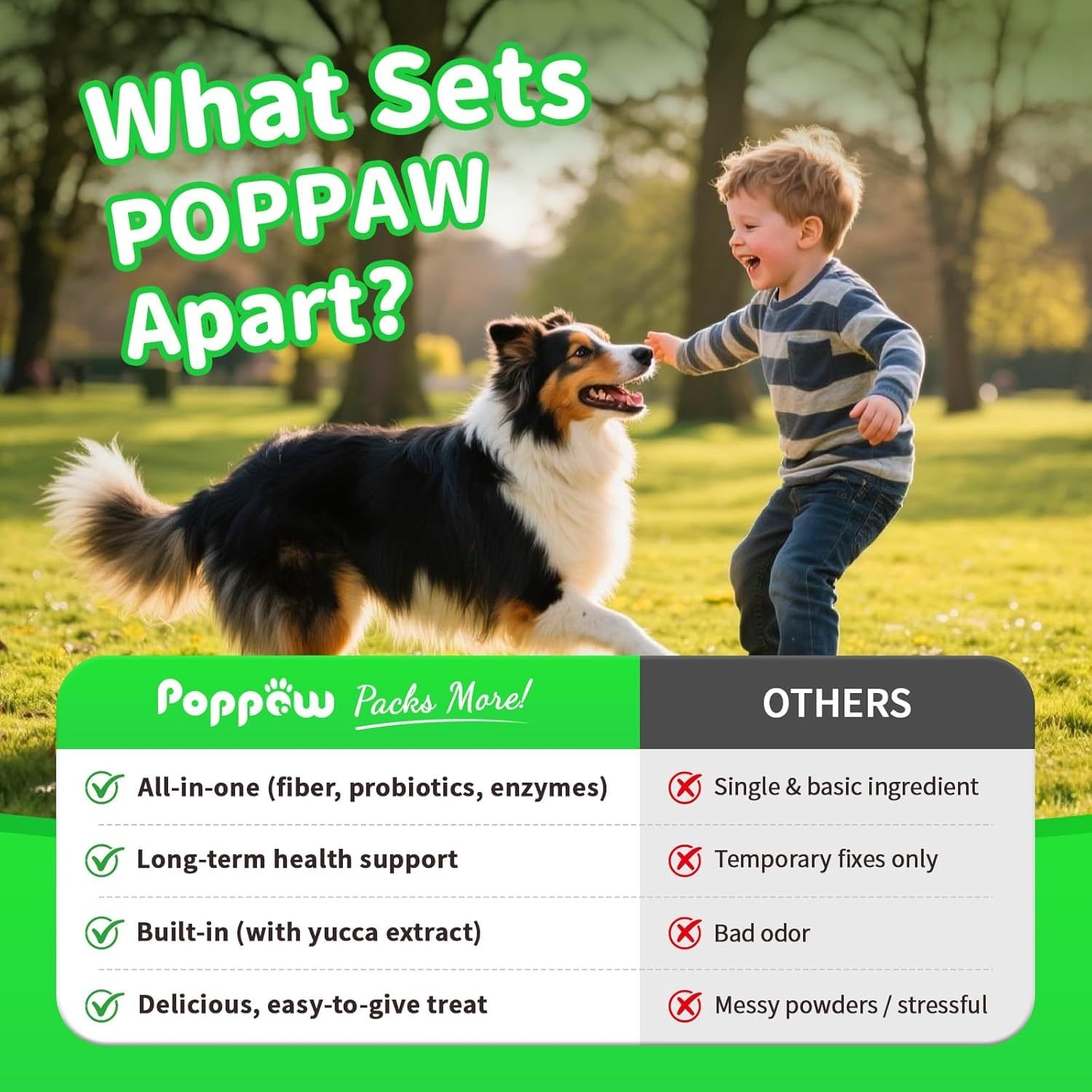 Probiotic Digestive Chews for Dogs - Stop Scooting, Gas & Diarrhea | 90 Chicken Chews - Image 2